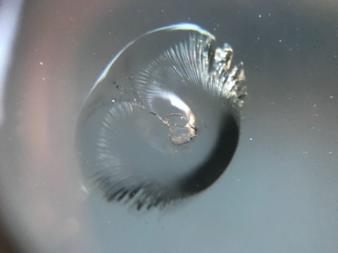 飛び石被害でフロントガラスに傷がついたら、すぐに修理して下さい！飛び石被害でフロントガラスに傷がついたら、すぐに修理して下さい！