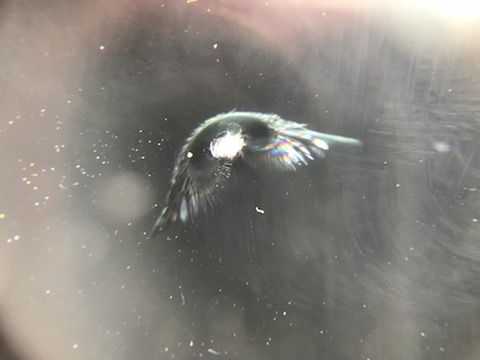 飛び石によるフロントガラスの割れ修理、車検合格100%保証！