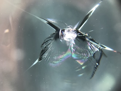 輸入車・高級車のフロントガラスのヒビ・割れも修理可能です！