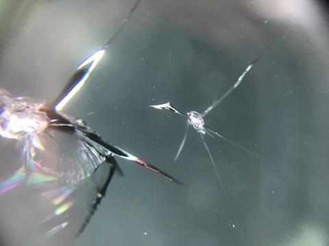 輸入車・高級車のフロントガラスのヒビ・割れも修理可能です！