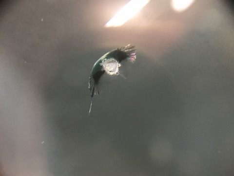 フロントガラスのヒビ修理出来ない場所を直します！