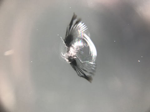 はねいしで車のフロントガラスにヒビが出来たら、修理をお任せ下さい！