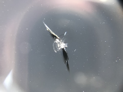 旧車のフロントガラスに飛び石で割れてもウインドリペアで修復！