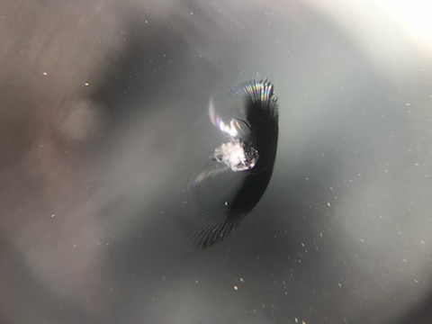 お盆休みでも、ウインドリペア予約無しで40分〜の即日施工！