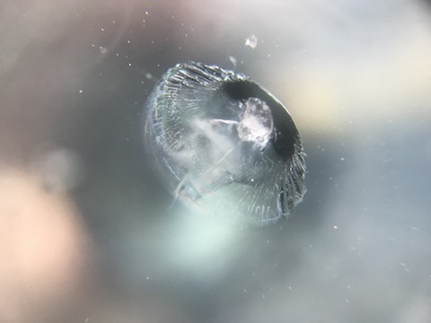 フロントガラスが直って良かった！飛び石の傷は交換しなくて良いんです！