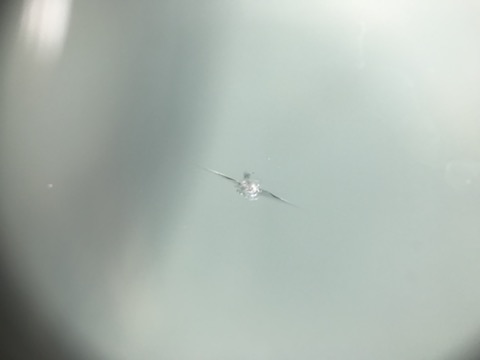 台風被害でフロントガラスにヒビ・割れ、ウインドリペアで解決