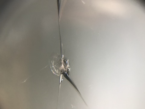 フロントガラスのヒビ・割れは、交換しなくてもウインドリペアで修理可能！