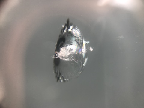 遠方からの来店、信頼される飛び石修理のウインドリペア！