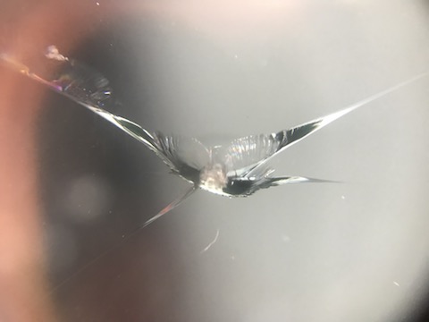 大きな飛び石の傷、断られる大きさ・場所でも修理します！