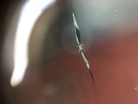 お車のお悩みを持ったその日に解決！フロントガラスの修理はデントスマイル ！