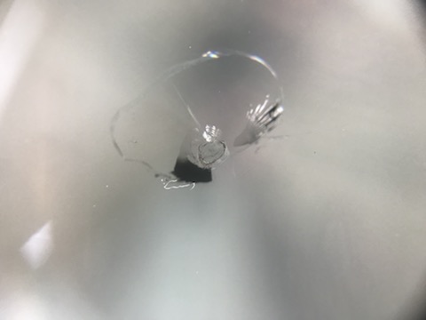 フロントガラス修理、DIYで直せなかった傷を直します！