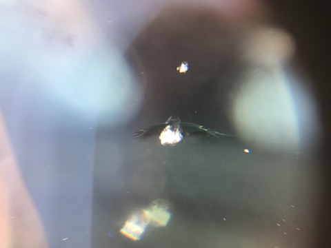 輸入車のフロントガラス交換は高額修理！ウインドリペアで最小限の負担に！