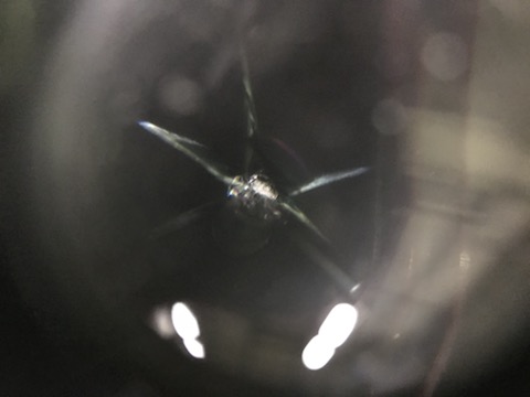 車のガラスが割れても、交換しないで修理出来る方法があります！