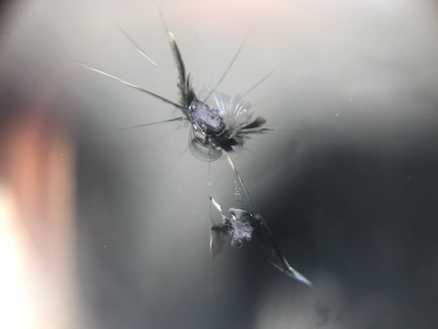 仕事用のお車、ちょっと立ち寄ってもらえれば、割れたフロントガラス修理致します！