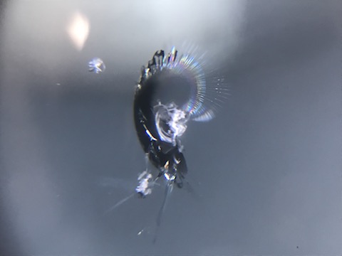 毎日営業し、車の急な飛び石でフロントガラスが割れても、即日修理！