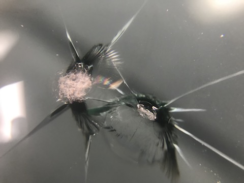 最新レクサス UX200、反対車線からの石でフロントガラス割れても修理可能！