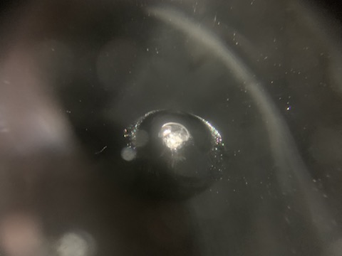 修理出来ないフロントガラスの割れ・傷を直し、予約無くても即日施工！