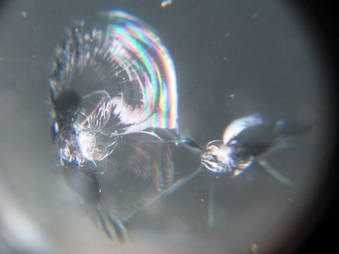 車のガラスでお悩みのある方、なんでも聞いてください！