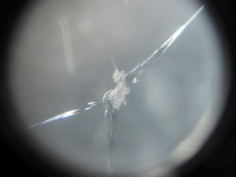 連休中に飛び石被害続出！車屋さんも休み。デントスマイルは連休中も修理しております！