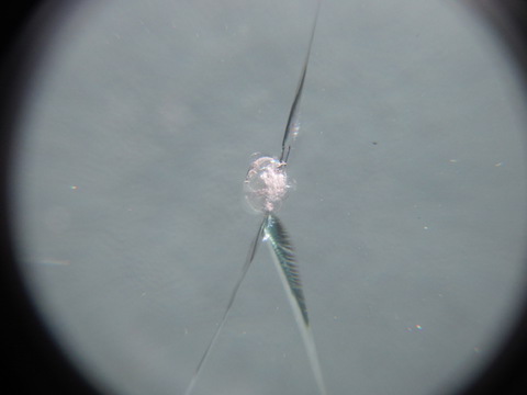 連休中、車で遠出したなら、フロントガラスが割れていないかチェックして下さい！