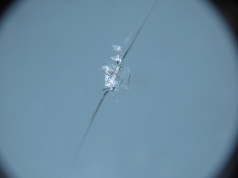 連休中でも、予約なくても、当日にフロントガラス修理可能です！