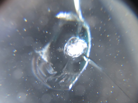 フロントガラスに複数の飛び石傷があっても、交換するよりお得に修理！