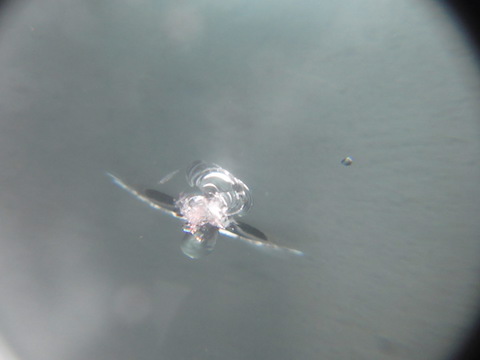 ベンツのフロントガラス修理、15,000円・40分~で直します！