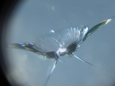 フロントガラスがひび割れ。最短・最小限の負担で修理するならウインドリペア！