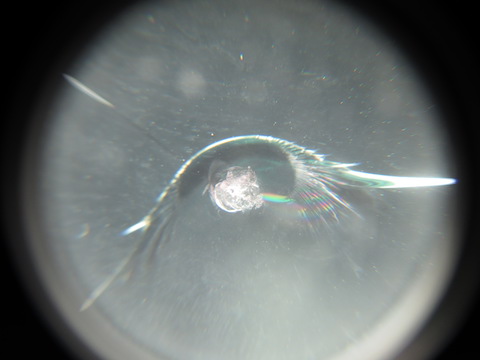 ウインドリペアとは、フロントガラスのヒビ割れを埋めて固める修理！