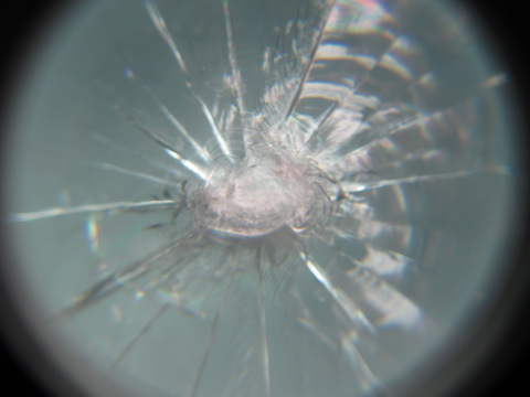 複雑に割れた車のフロントガラス、ガラスの樹脂を注入して固める技術で直します！