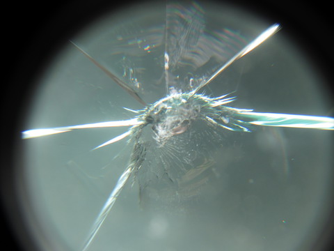 デントスマイルのウインドリペアは、声を出すほど驚く綺麗な仕上がり！