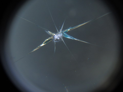 フロントガラスの飛び石の傷・割れは放置すれば伸びます！