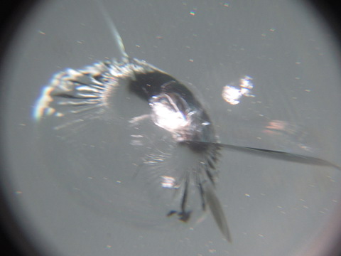 ベンツのフロントガラス修理、15,000円で交換せずに車検合格！