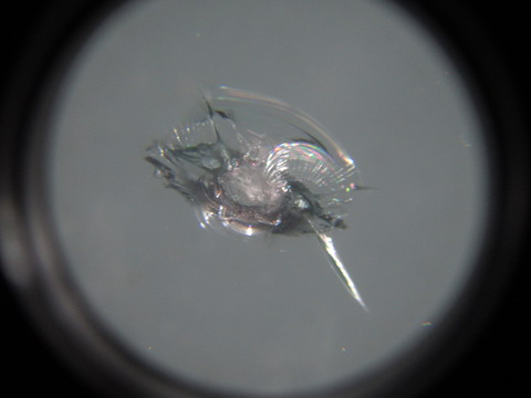 フロントガラス被害にあったその日に修理します！