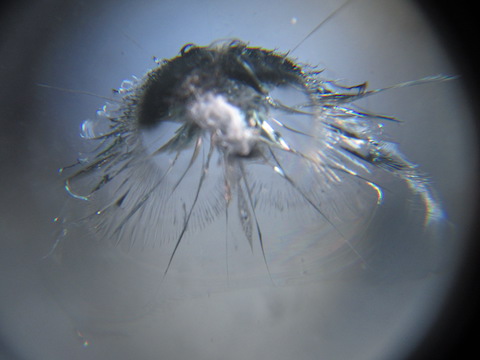 トラックのフロントガラスはヒビ割れ・飛び石被害、45分〜で最短でお安く補修しましょう！