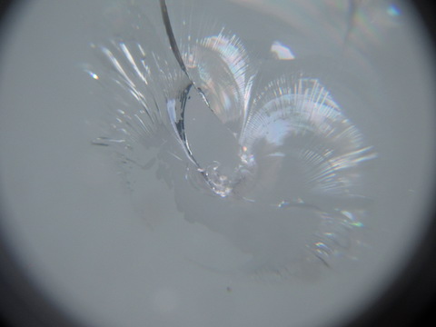 年末年始、高速走行でフロントガラスが割れたらすぐに直してください！