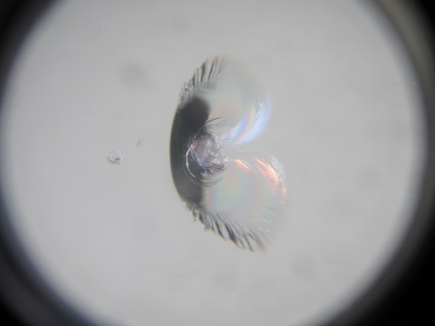 フロントガラスがひび割れ・傷・割れる原因とは？そのあとの修理方法は？？