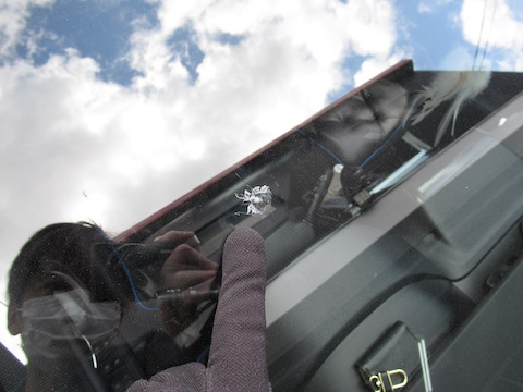 飛び石で500円玉超えた大きなヒビ割れもウインドリペアで直します！