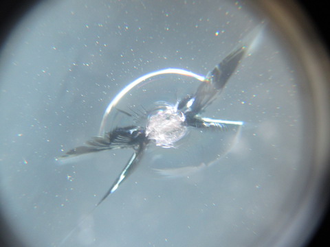 フロントガラスの飛び石修理、3カ所直しても交換よりお得！