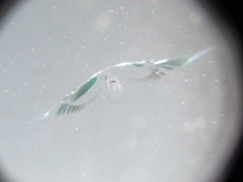 3密を避ける為の車通勤・運送車に起こる飛び石被害、当日修理でサポートします！