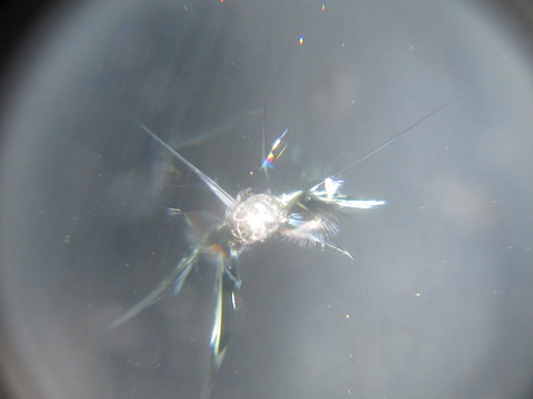 ガラスが直る！ウインドリペアの実力をご紹介！