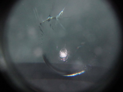 キャンピングカーは飛び石リスク！割れたらウインドリペアをオススメします！