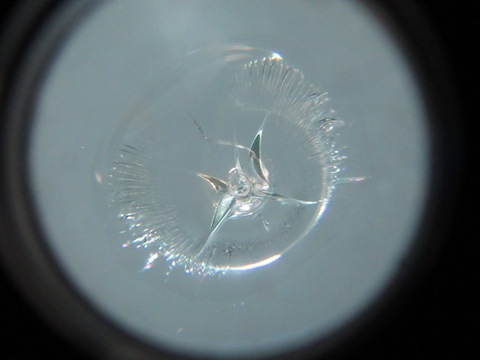 いろいろ出費を抑えたい時期、フロントガラス修理はウインドリペアで解決！