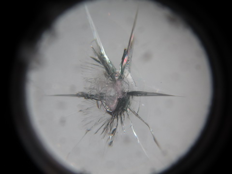 輸入車のフロントガラス交換は20万円を超えます！だから、過酷なヒビ割れでも直します！