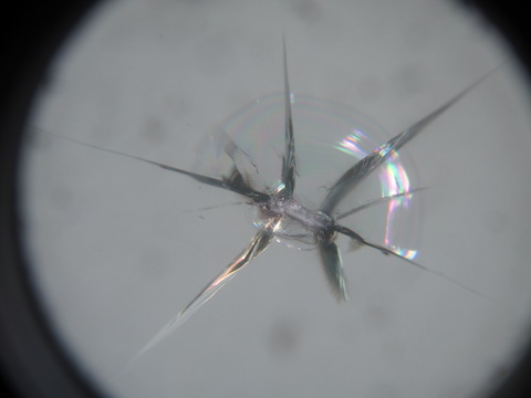 フロントガラスに取れない汚れ、もしかしてヒビ割れかも？！