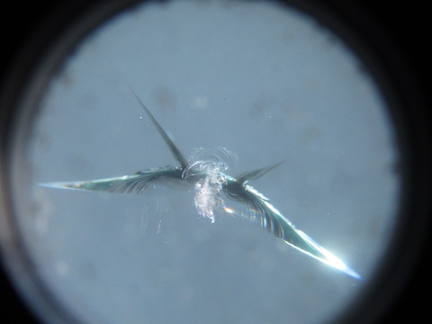 車のフロントガラスの異常・トラブルはご相談ください！