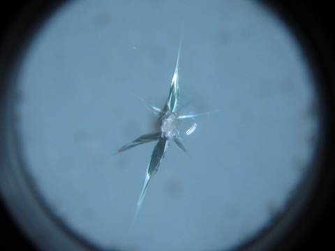 車のフロントガラスヒビ割れは、当日予約で即時修理で対応します！