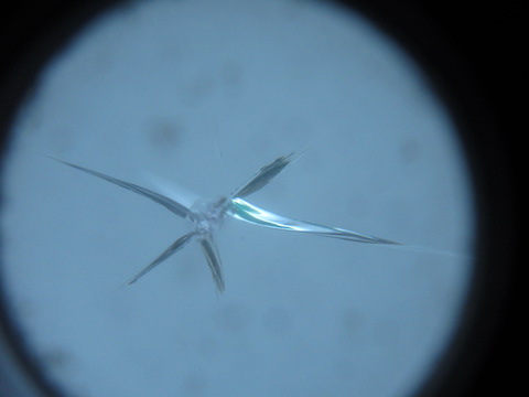 フロントガラス端から10cm以内の危険な飛び石傷を直します！