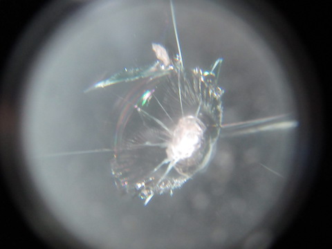 修理できないと断られたひび割れ傷をデントスマイルで修理！