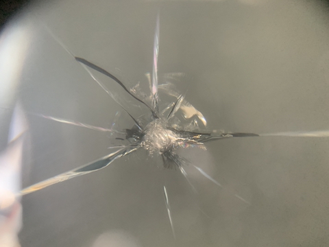 フロントガラスのひび割れの広がりを防止する修理があります！